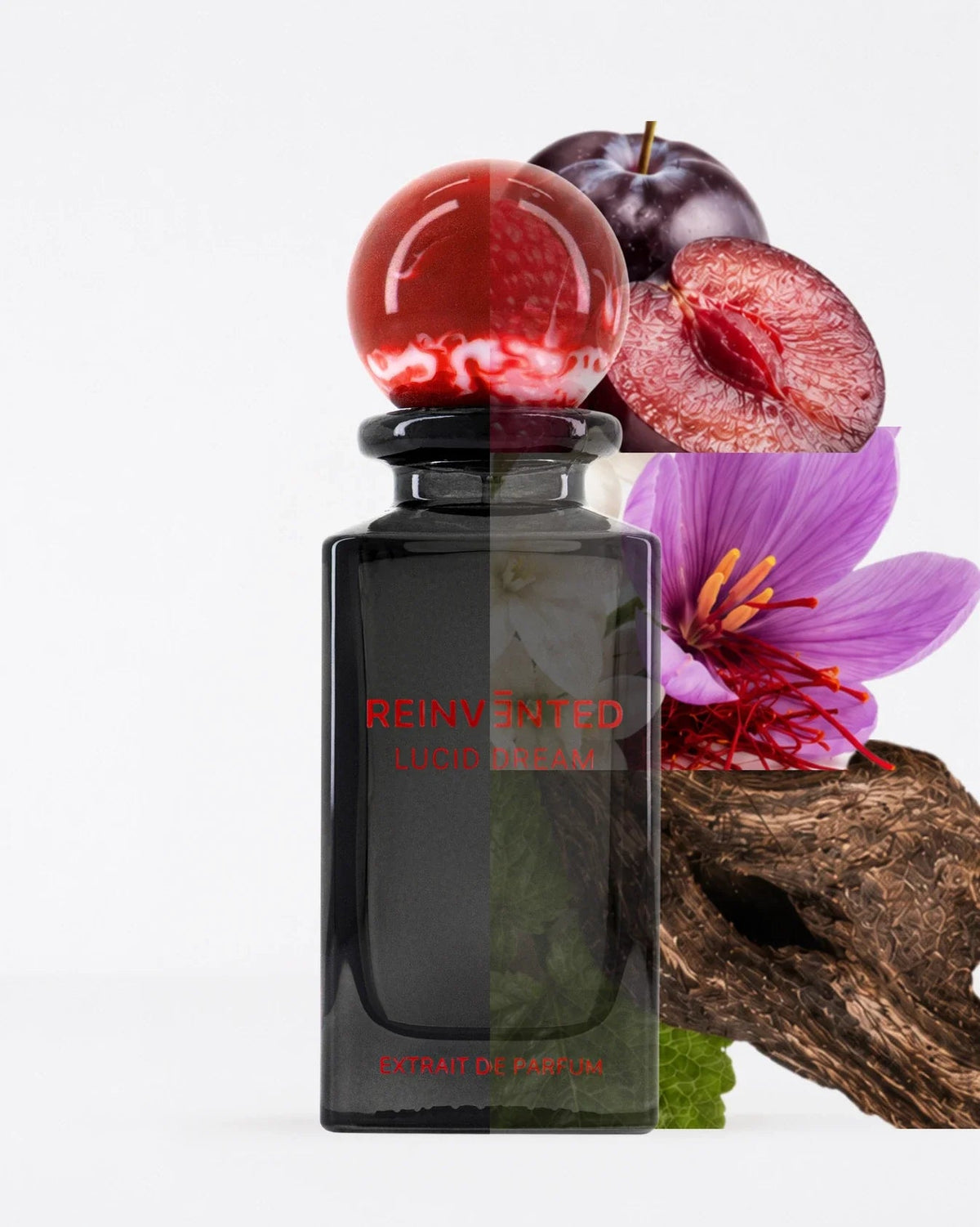 Reinvented Lucid Dream Extrait de Parfum (75ml) - FragranceGems